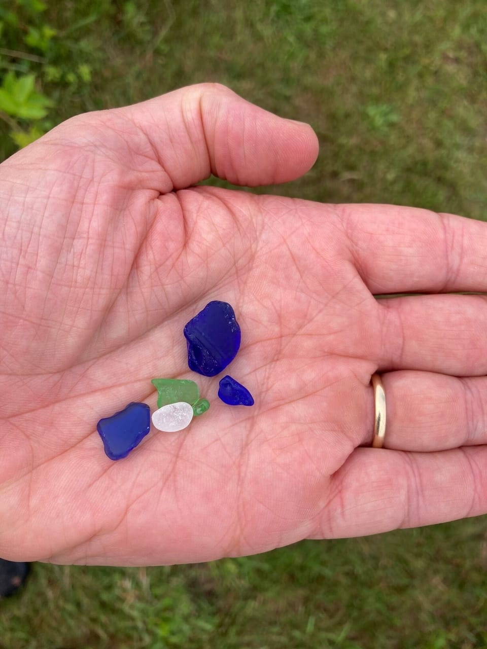 Beach glass from one walk on cove. Blue is rare on all beaches except this one!