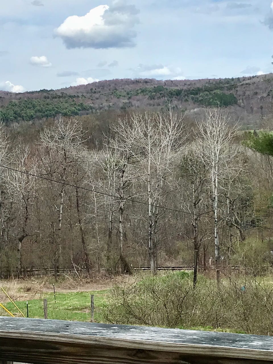View from the deck, early spring.