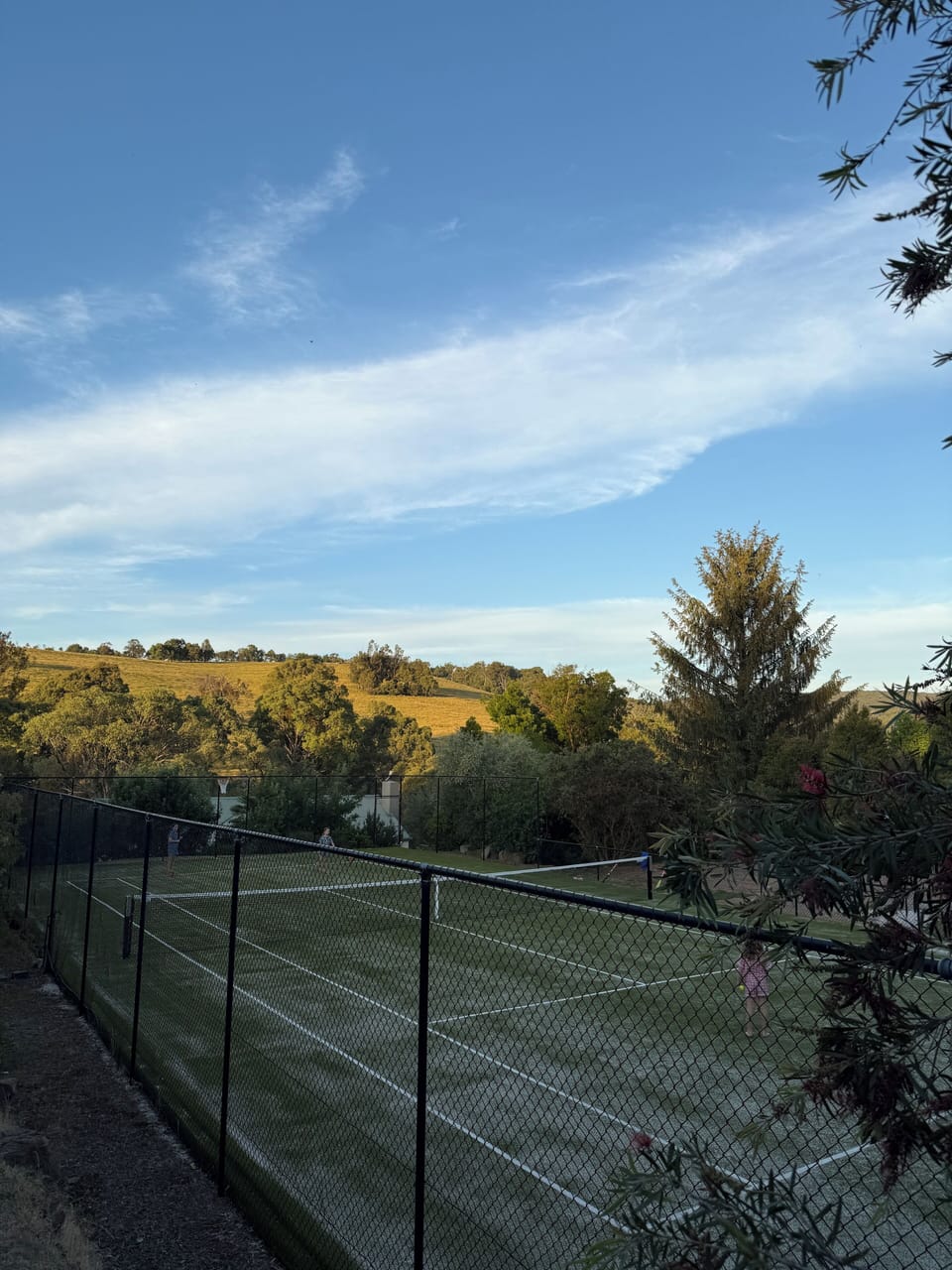 Sport court
