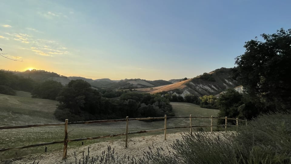 The view from the house