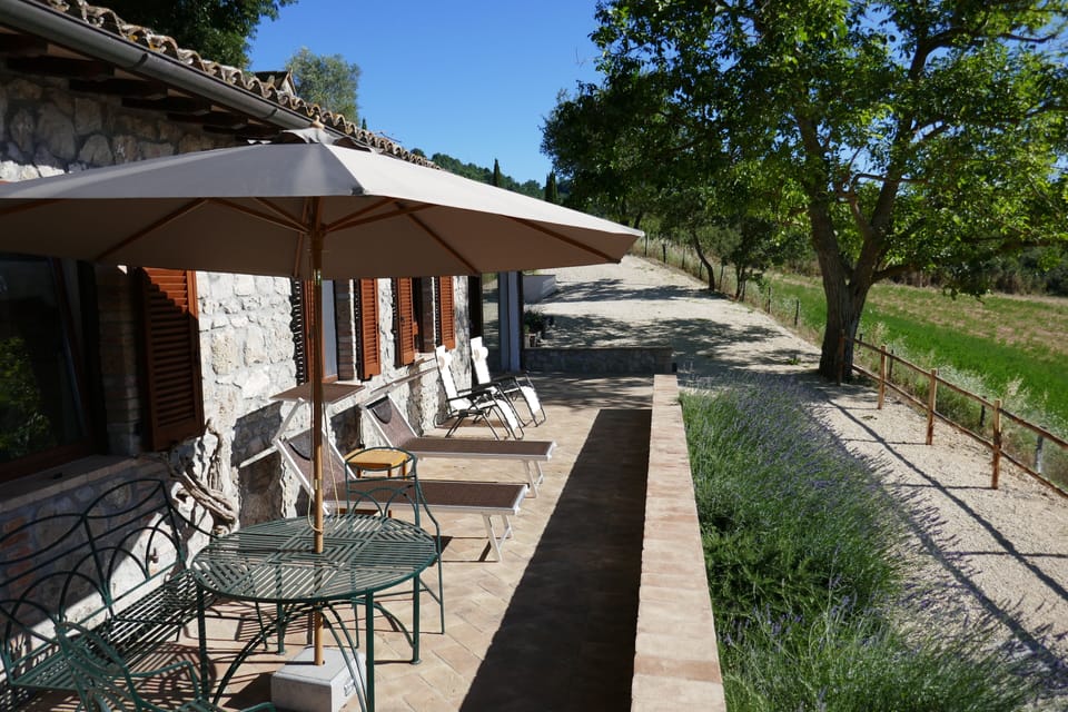 The house and its terrace