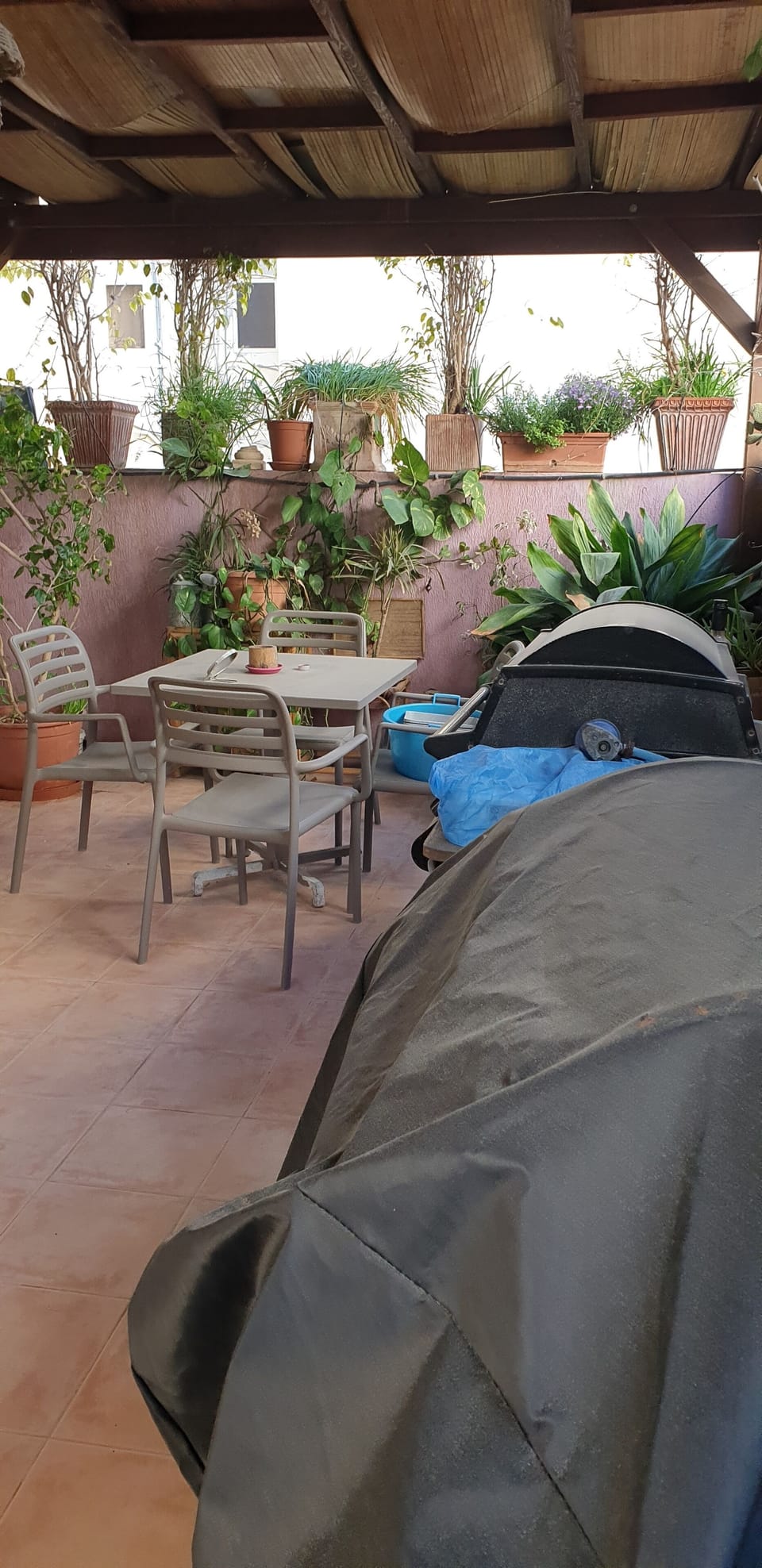Terrace. 