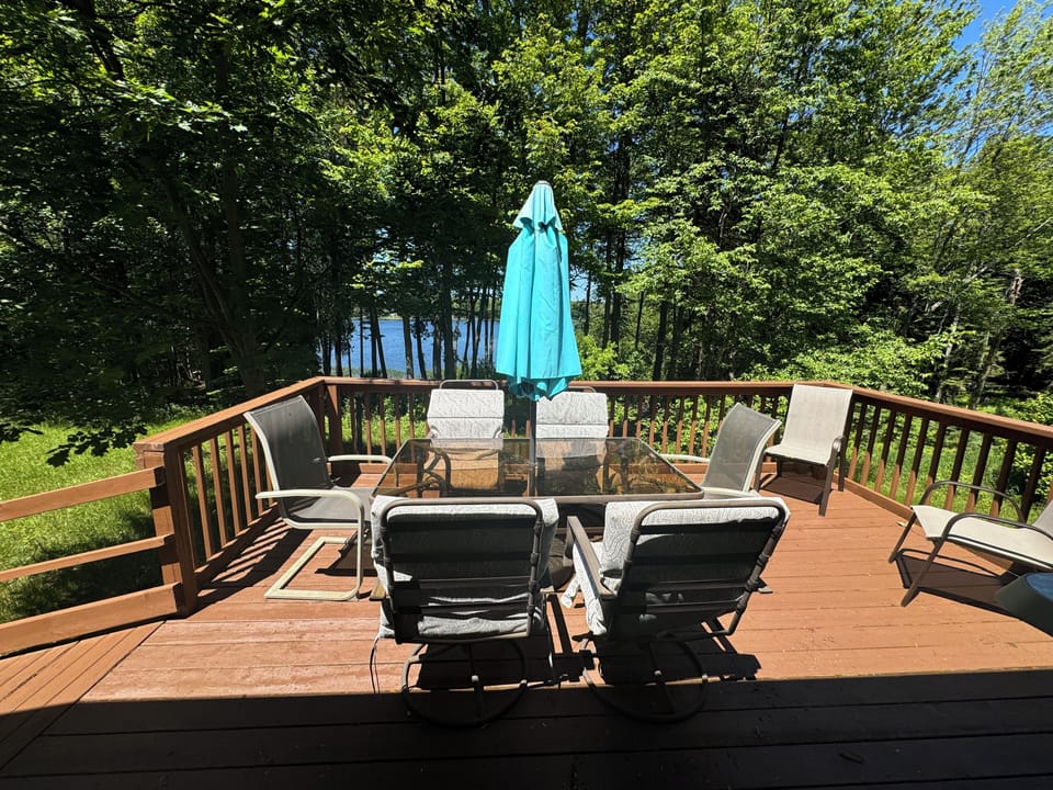 4 burner gas grill not seen