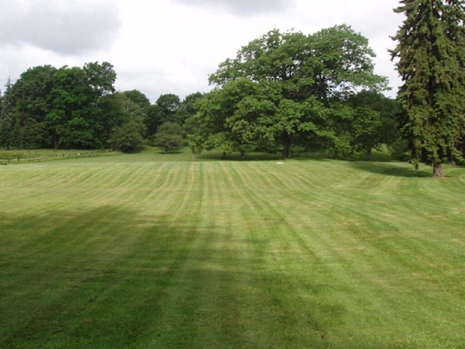 Absolutely enormous front yard, perfect for frolicking!