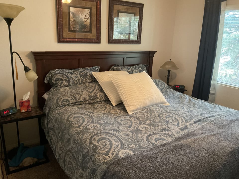 Bedroom #2 (1 king bed)