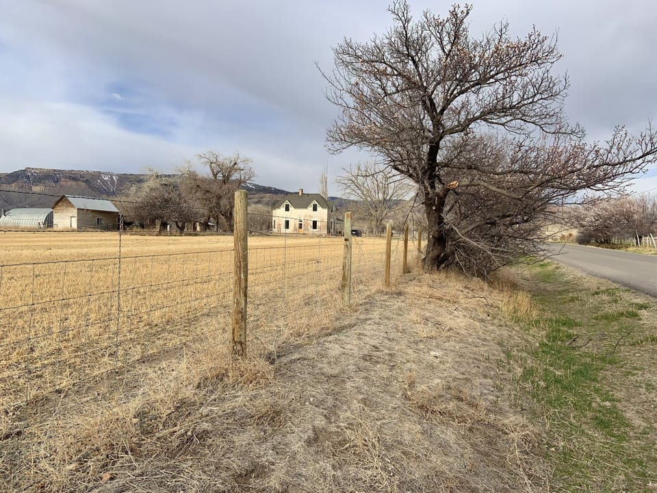 Property surrounding the home