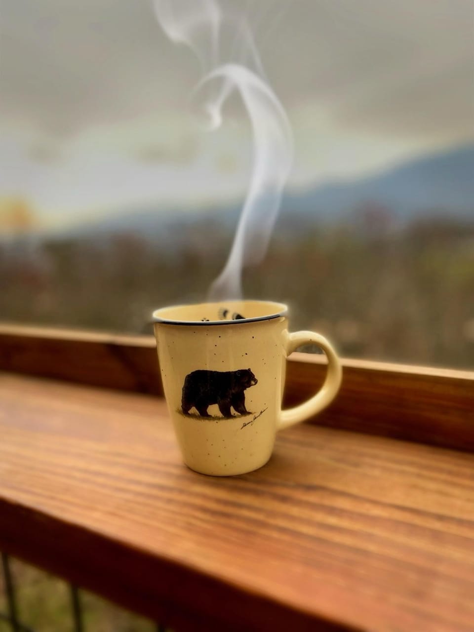 Hot coffee from Bearadise mugs. Yummy! (taken by guest, used with permission).