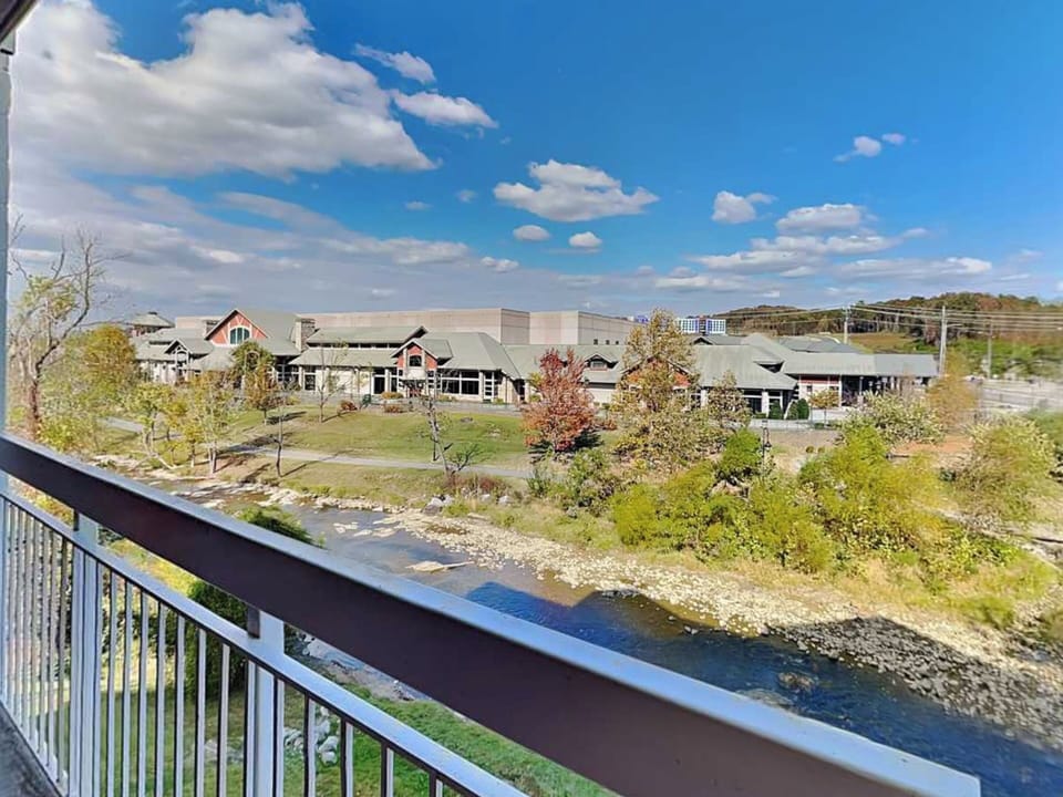 Views of Little Pigeon River