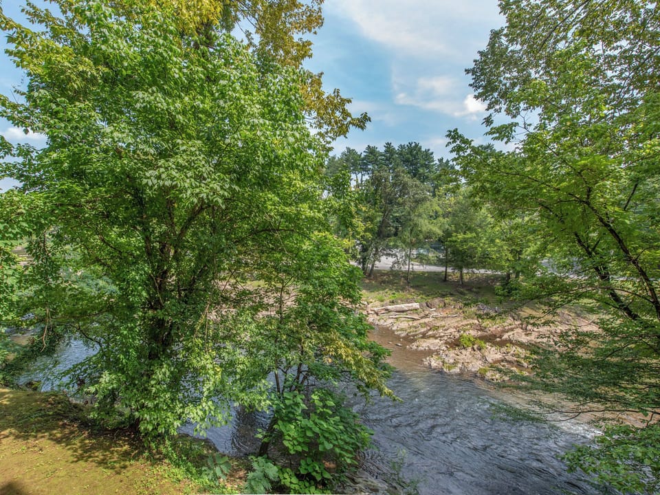 Nature at Your Doorstep