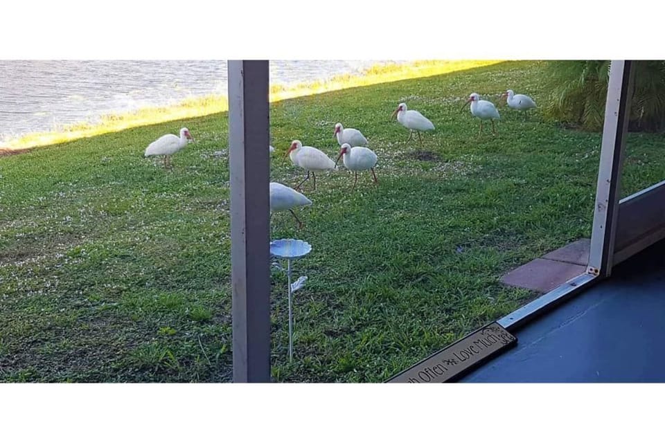 View from property