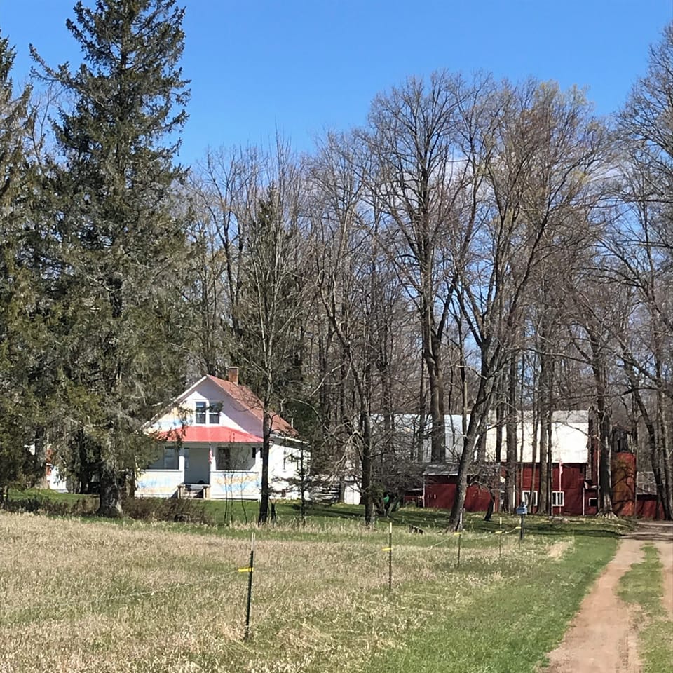 Spring on the farm.