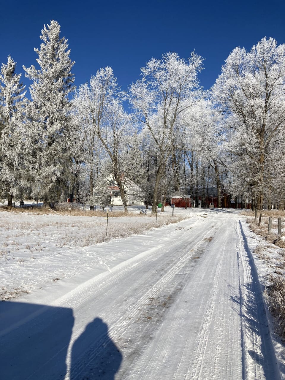 Little farm in the woods