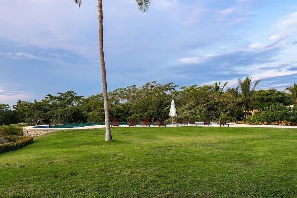 back yard and pool