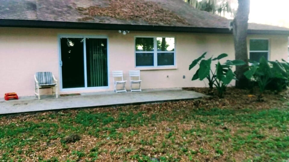 Back yard