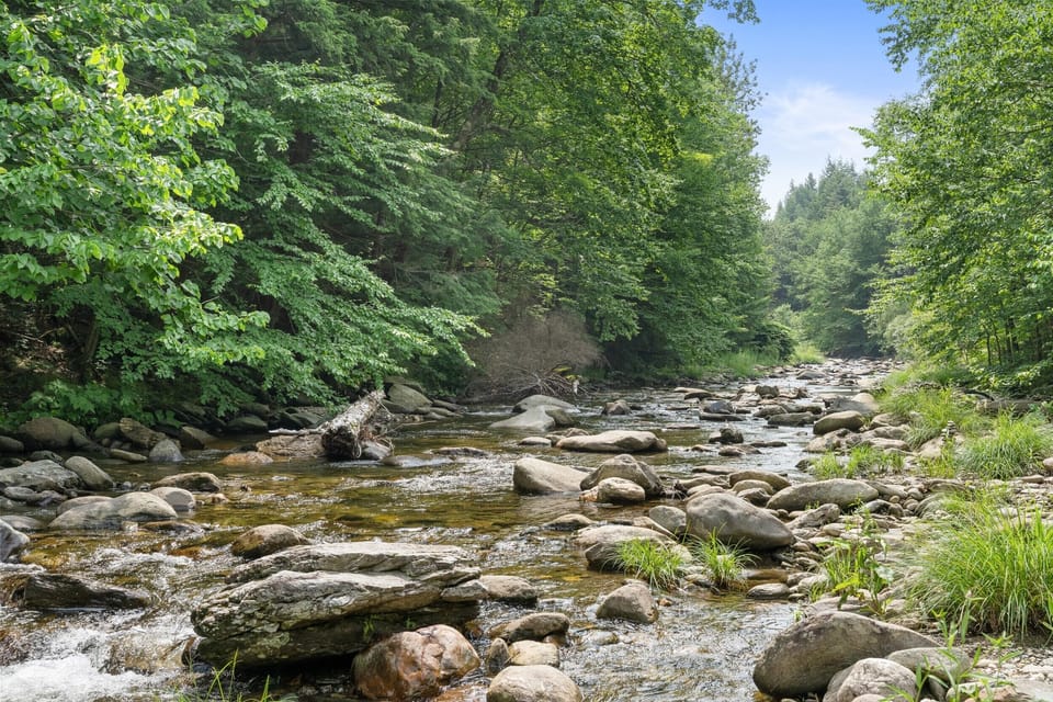 Stream bordering backyard