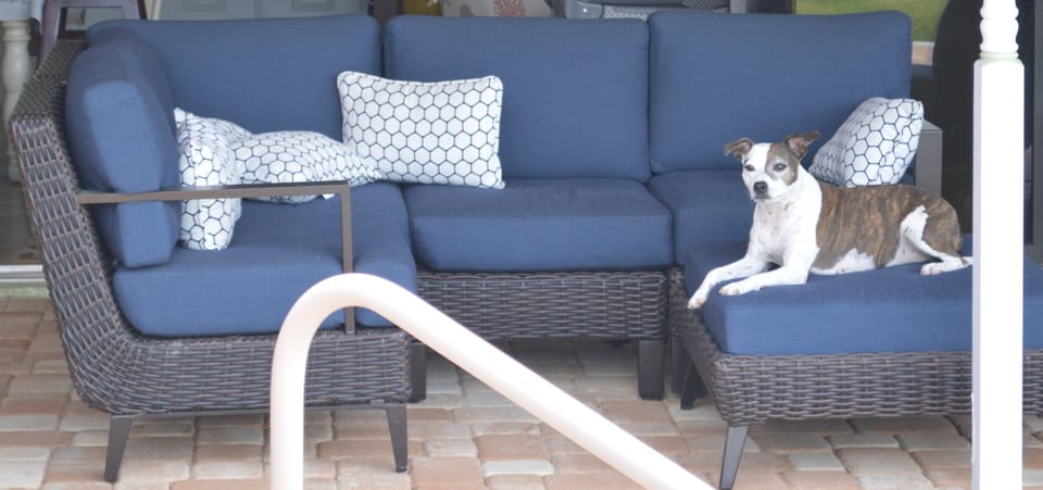 "You will love the patio. I find it very relaxing." Sasha