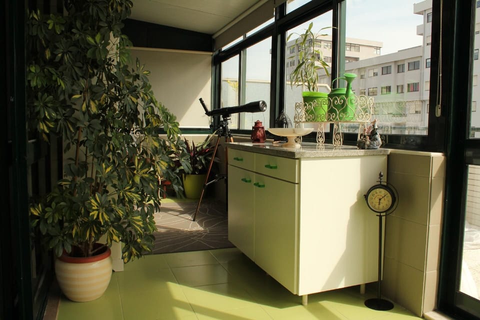 Living area. Winter garden