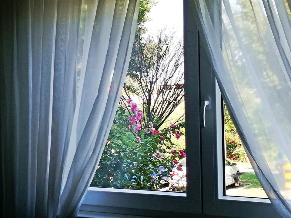 View from the window