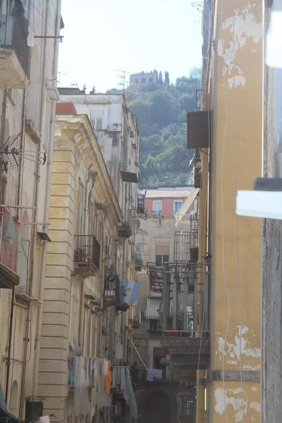 View from the window