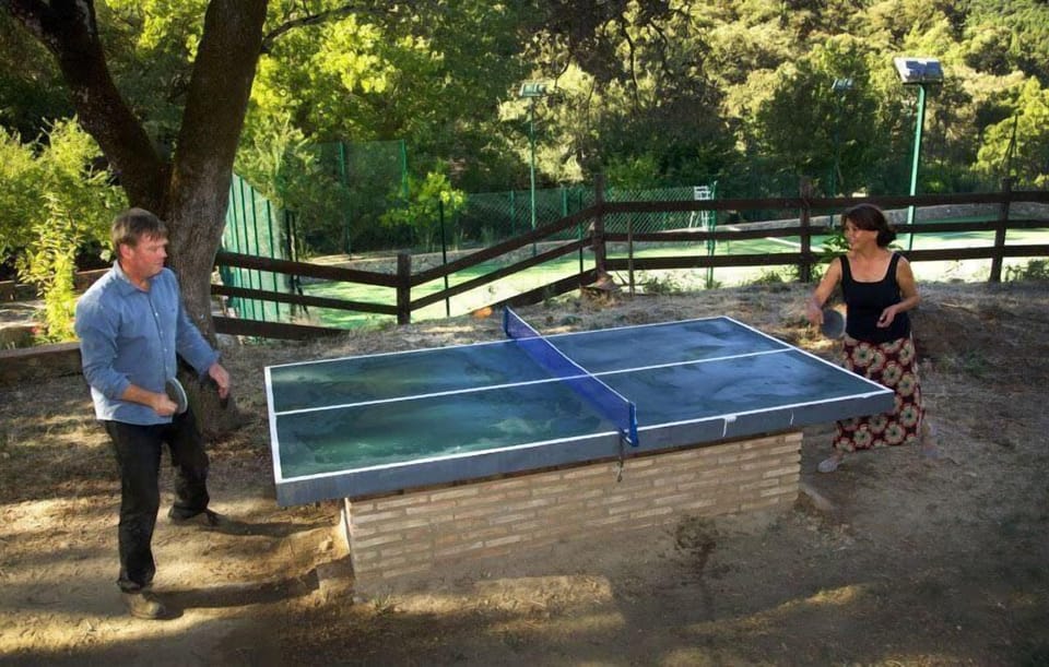 Sport court
