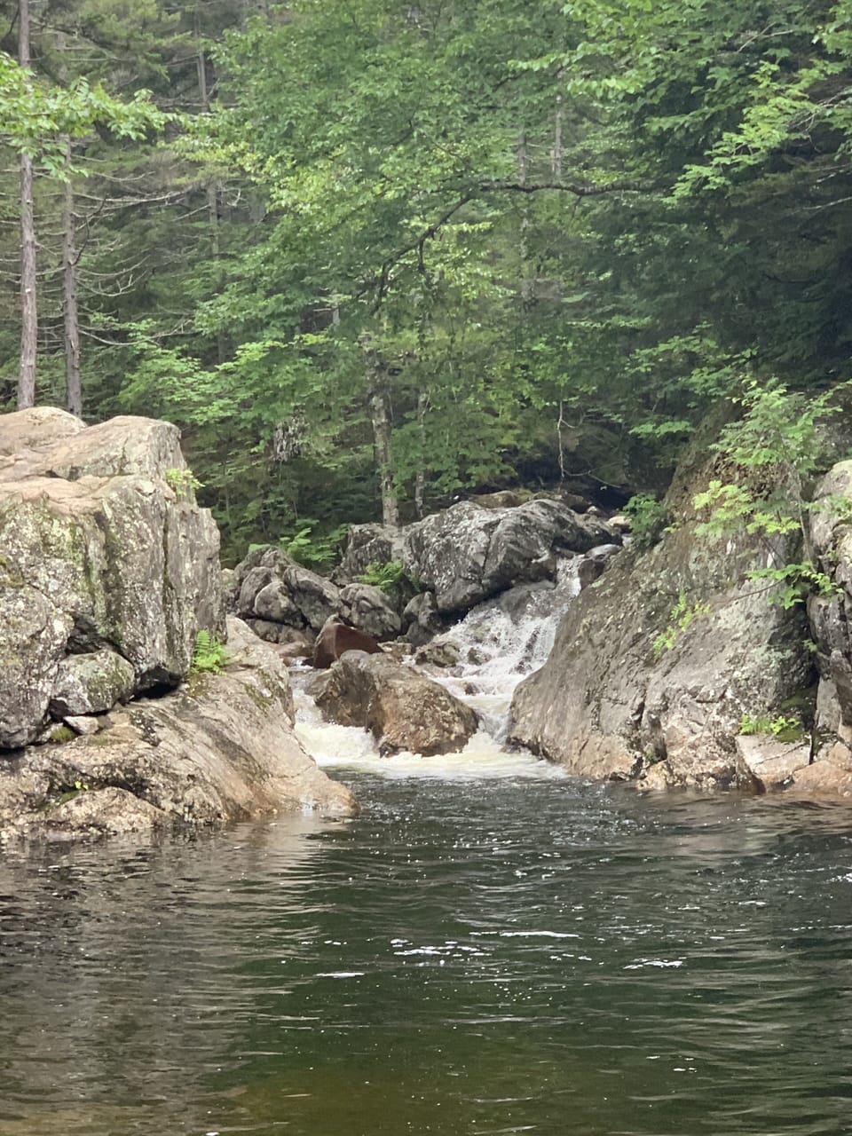 Swimming Hole
