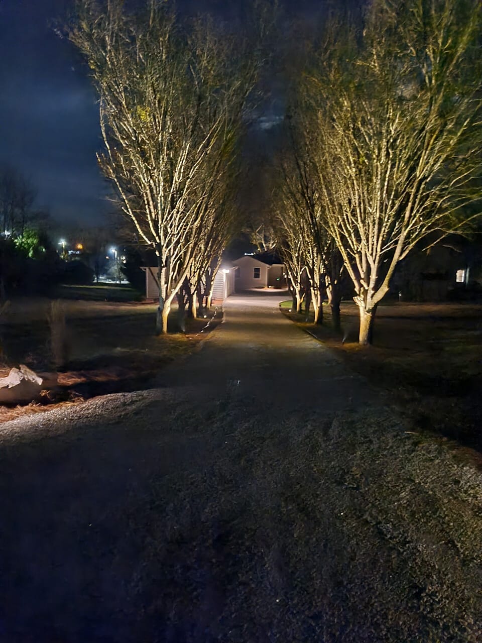 Driveway entry to home - Beautiful Bradford Pear Trees!