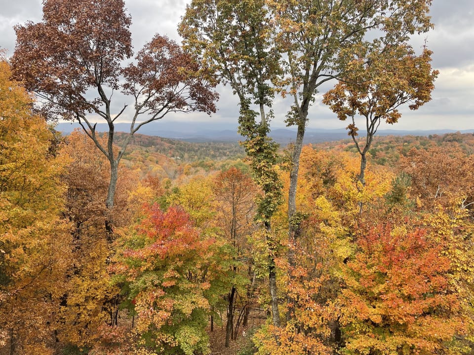 View from back deck in the fall