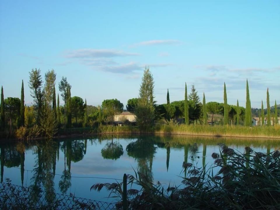 the lake