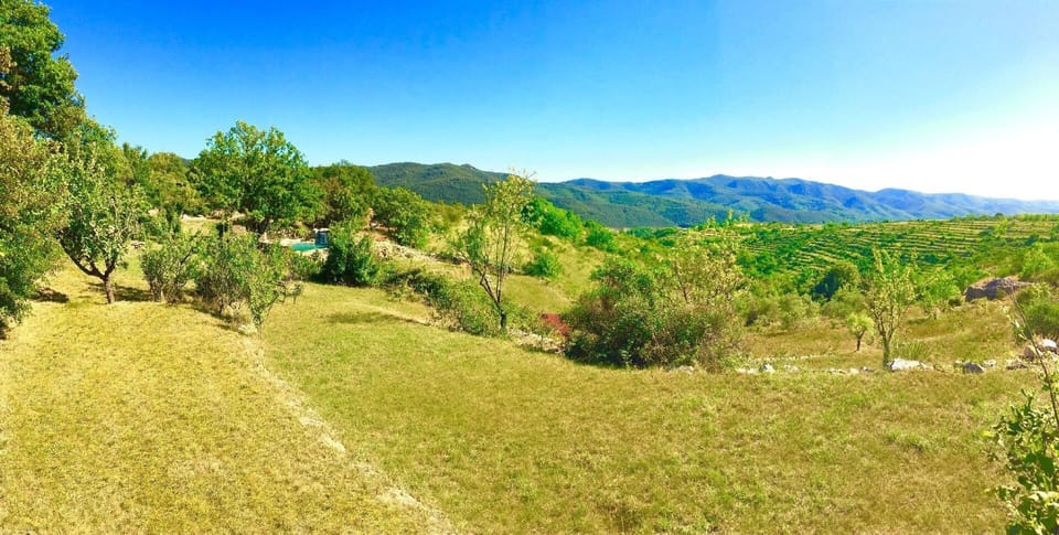 View from guest house