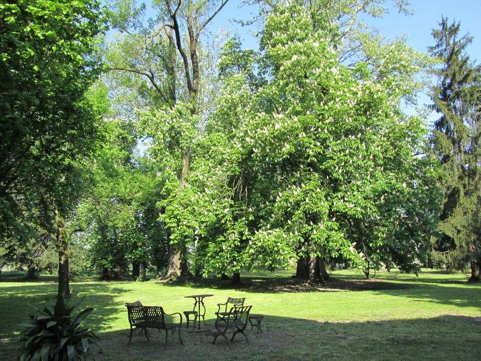 The park of Villa Selvatico