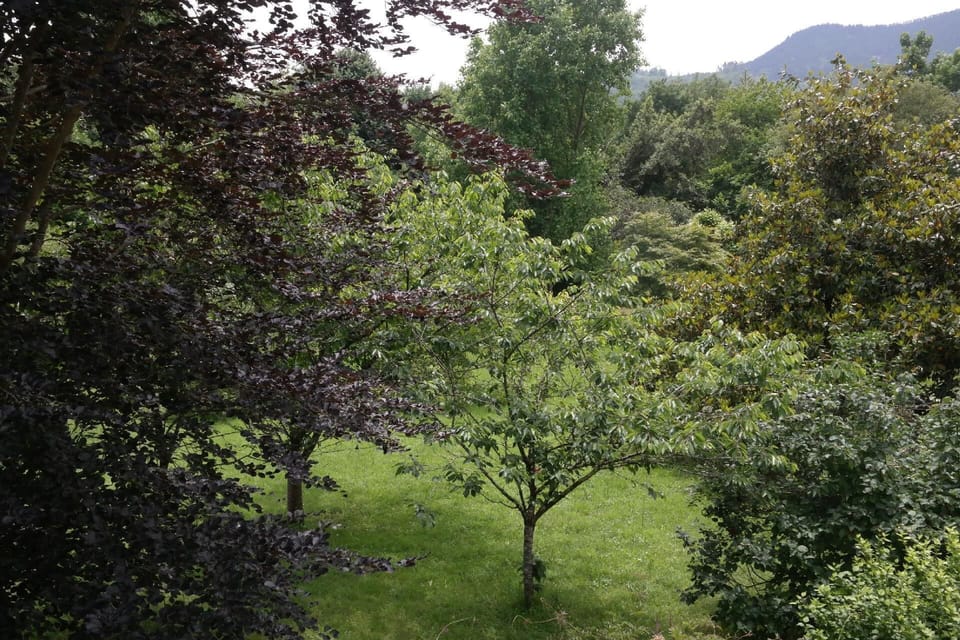VIEW FROM MASTER BEDROOM