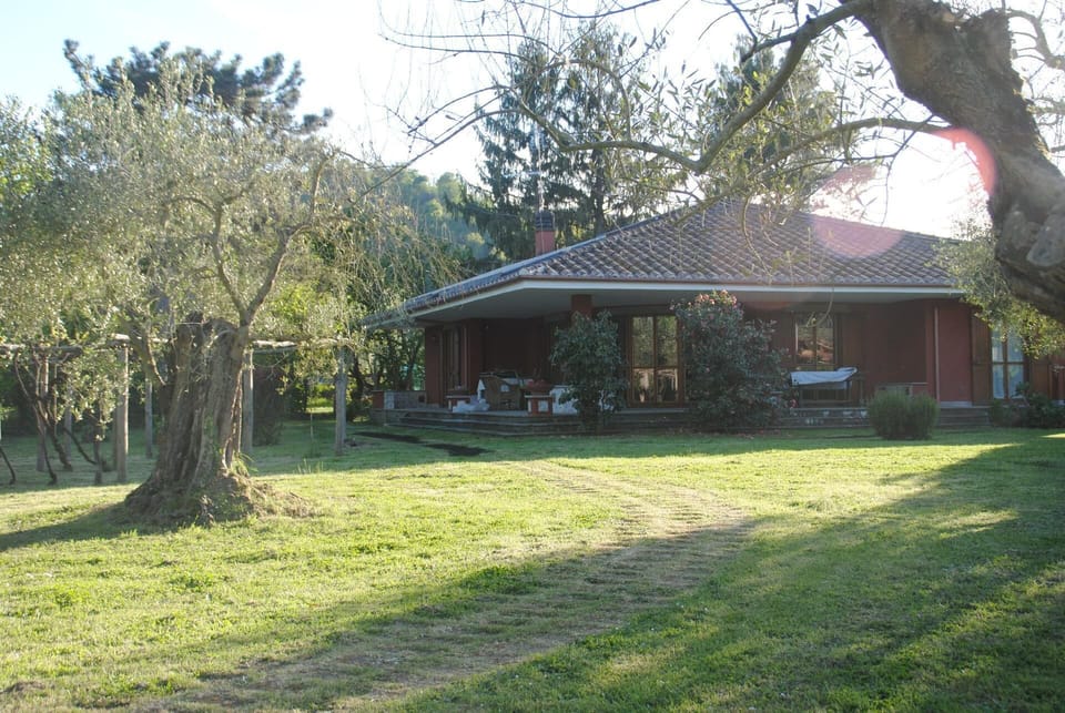 the house from the lake