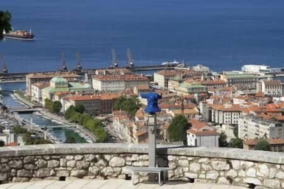 Town/city in general