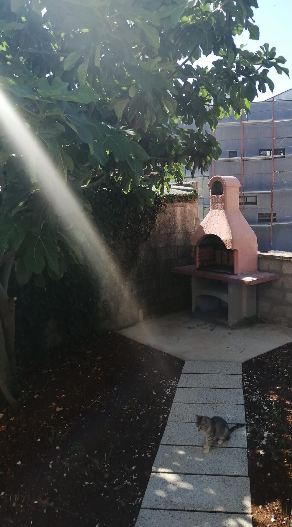 Garden. barbecue spot with little Buddha (you can adopt her)