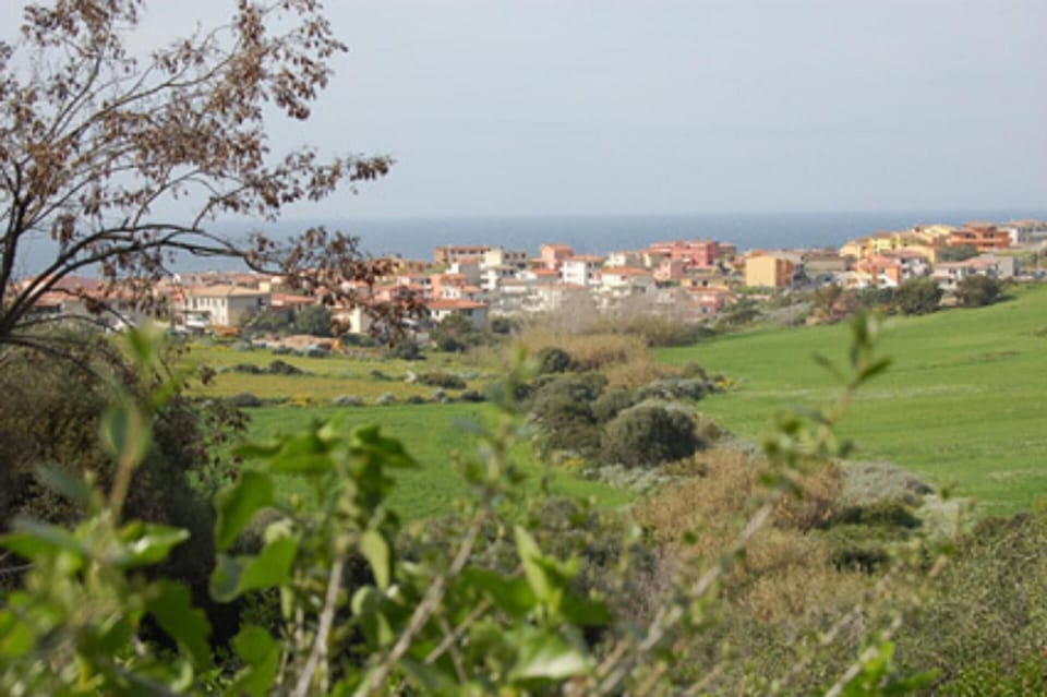 View from the window