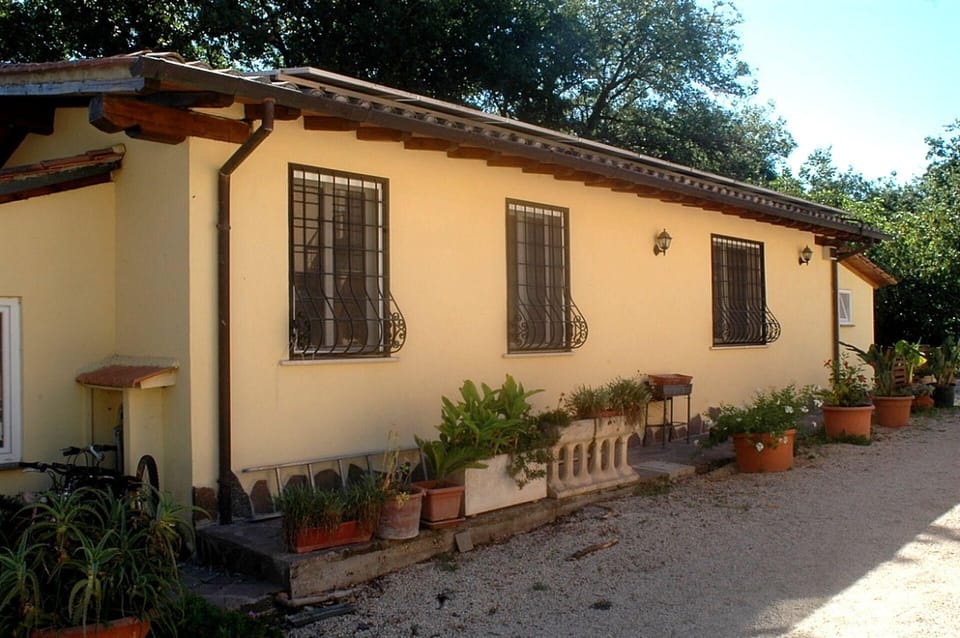 External view of the building
