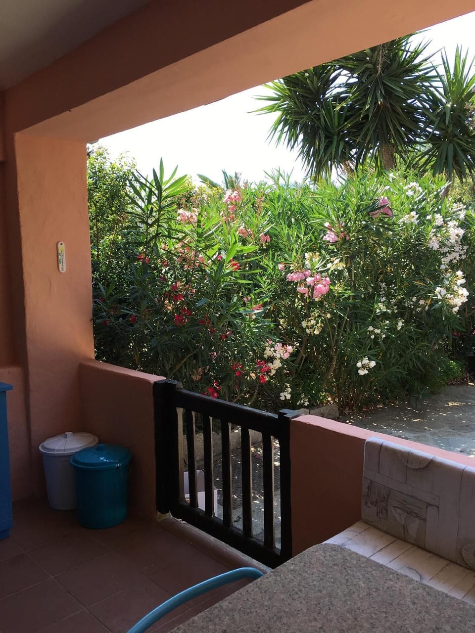 View from the window