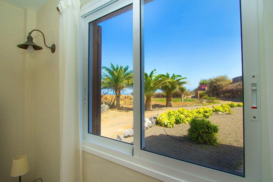 View from the window
