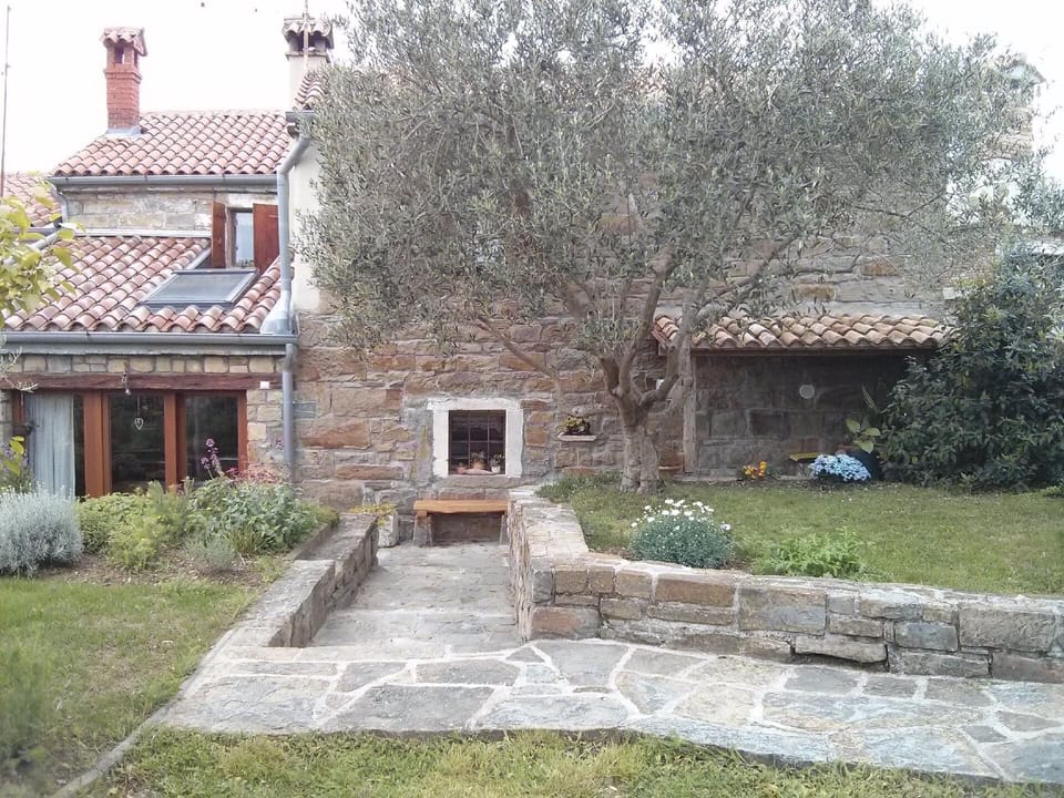External view of the building. Backyard