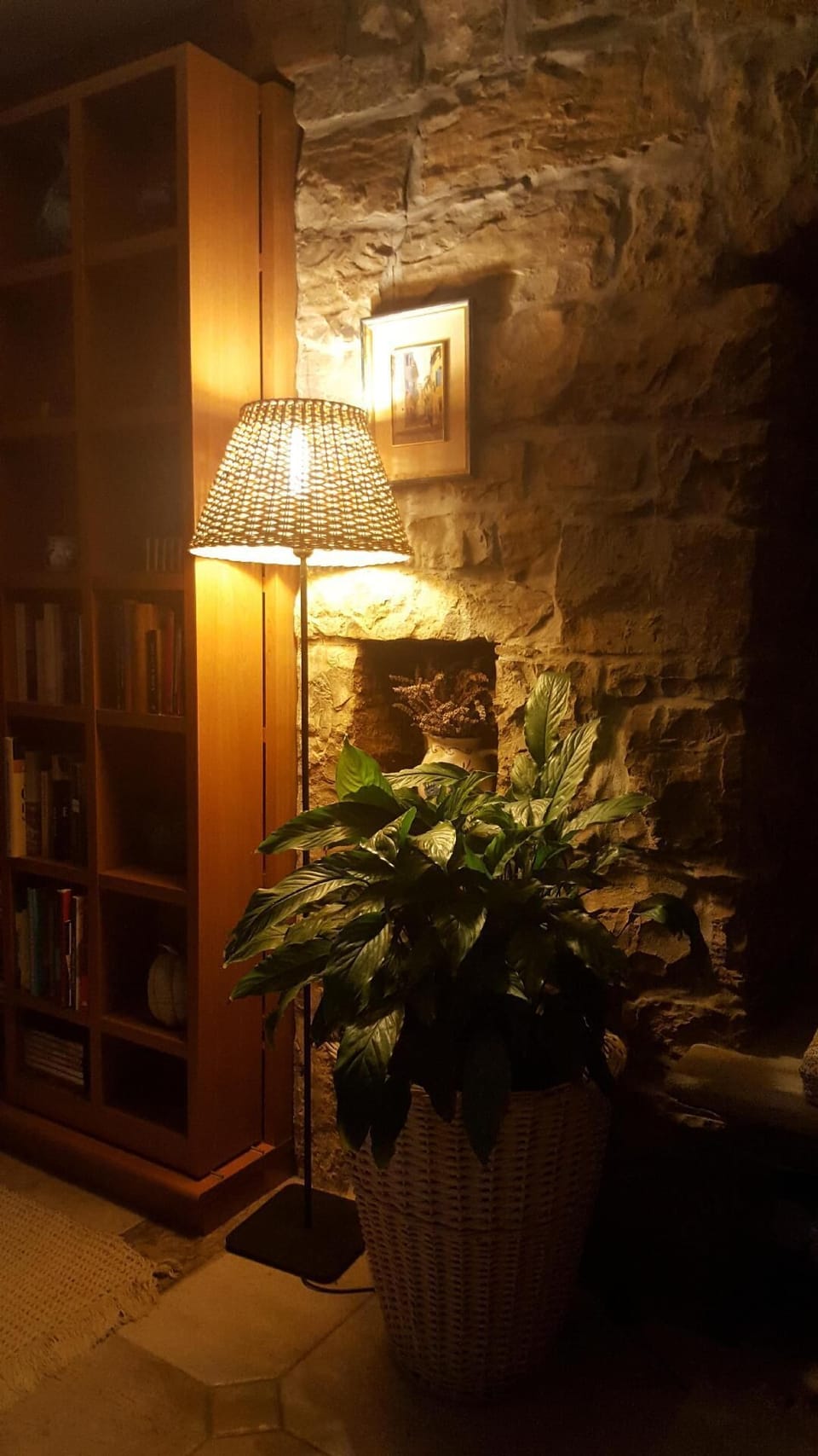 Living area. Reading area