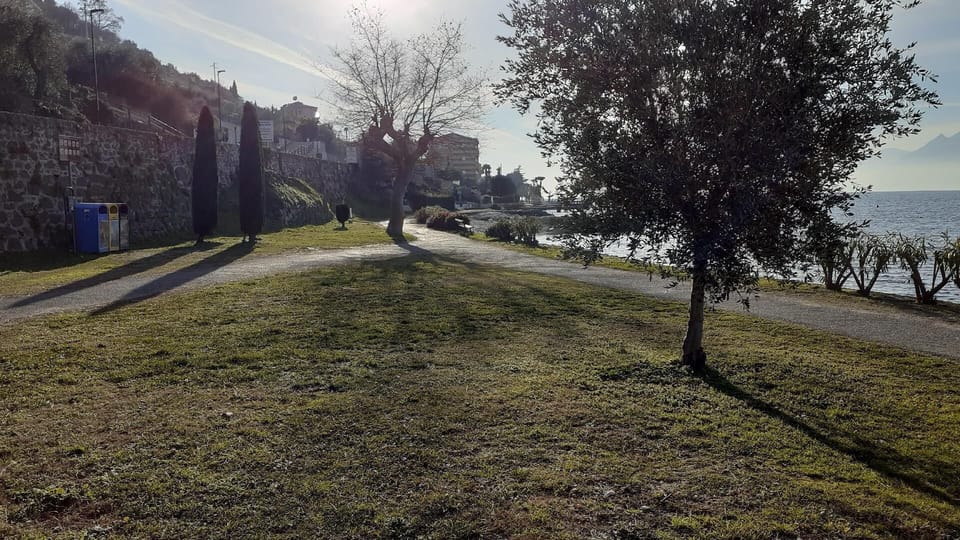 Area that directly surrounds the property