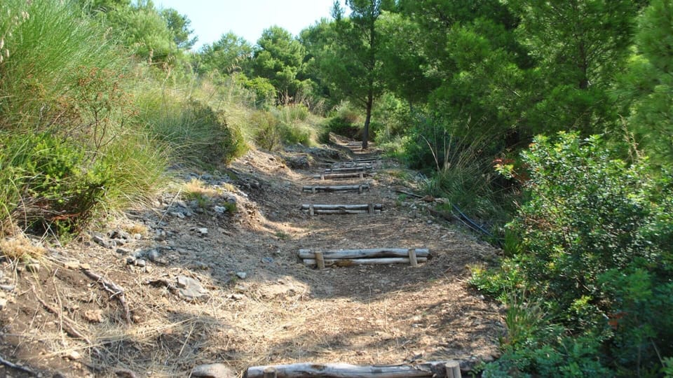 Area that directly surrounds the property