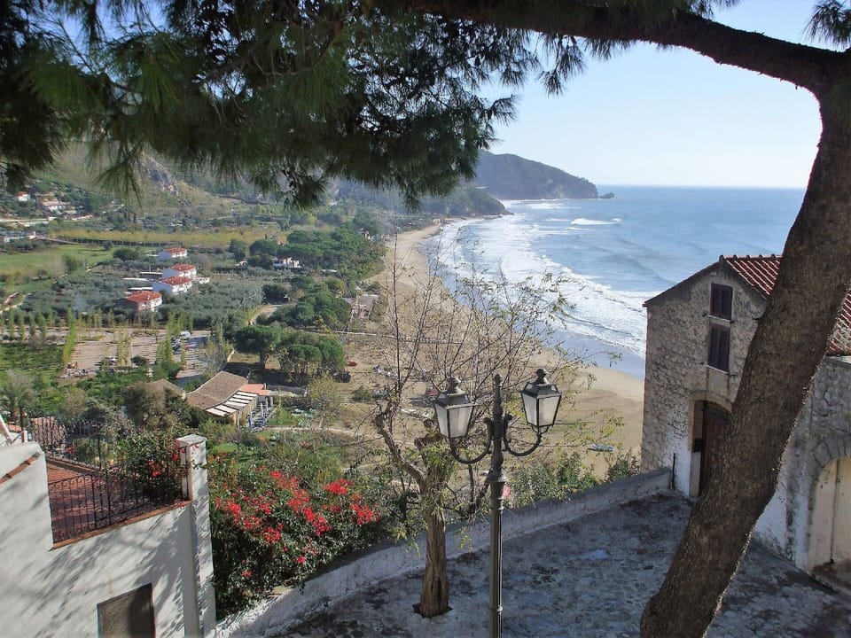 Town/city in general