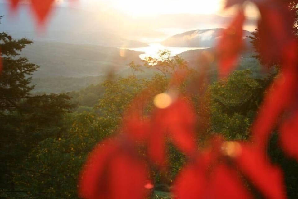 View from the window