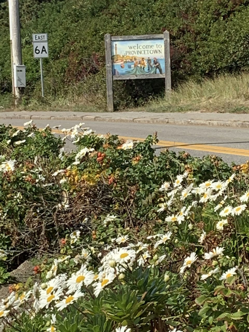 Provincetown Welcomes You!