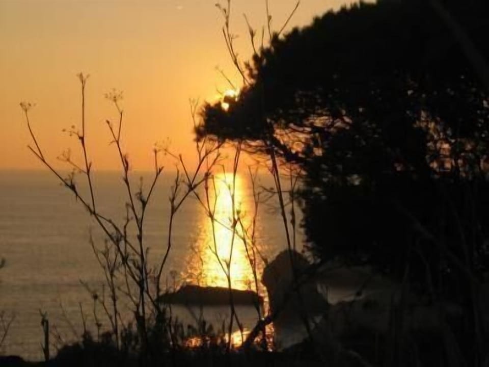 sunseat
