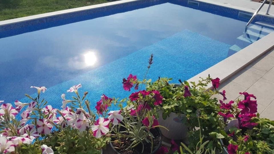Pool. Beautiful backyard pool, a perfect place to refresh and relax on hot summer days.