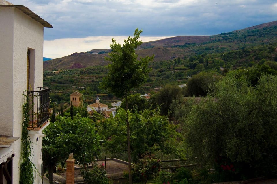 View from the window