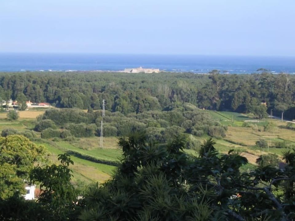 View from the window