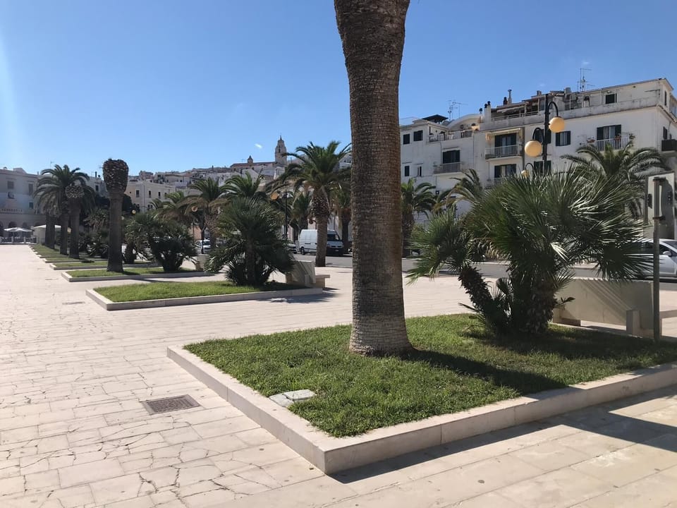 Area that directly surrounds the property